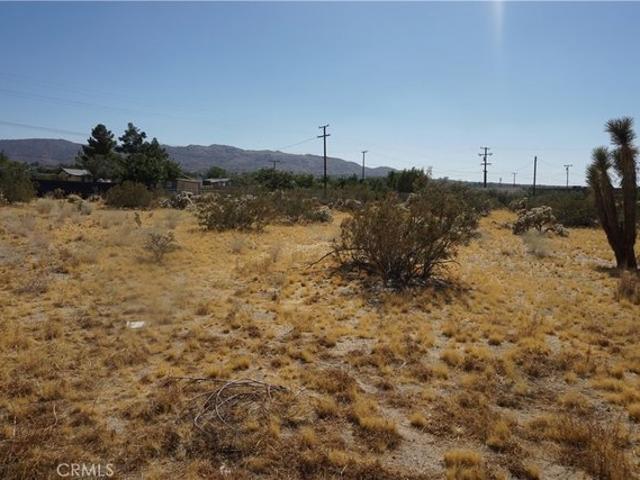 Land for sale in Joshua Tree, California