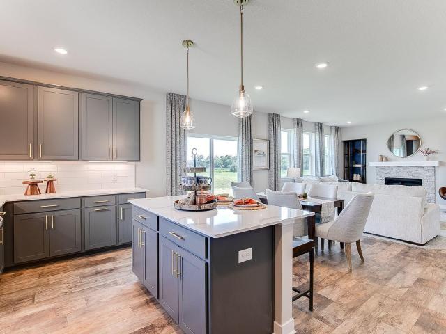 House for sale in Cottage Grove, Minnesota