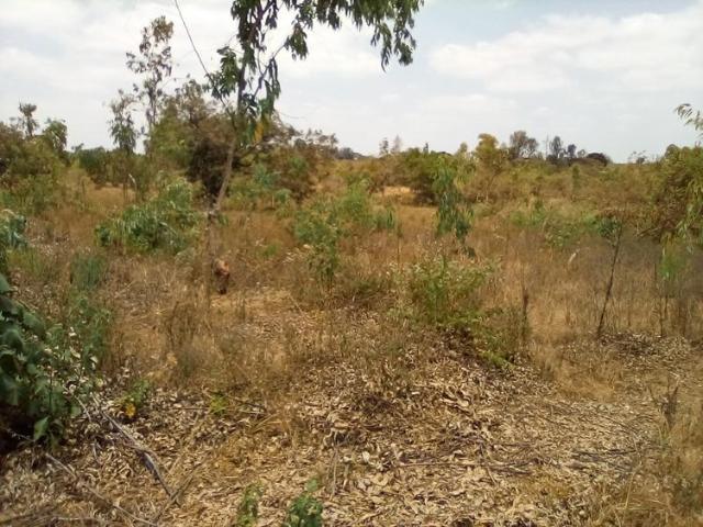 Land for sale
