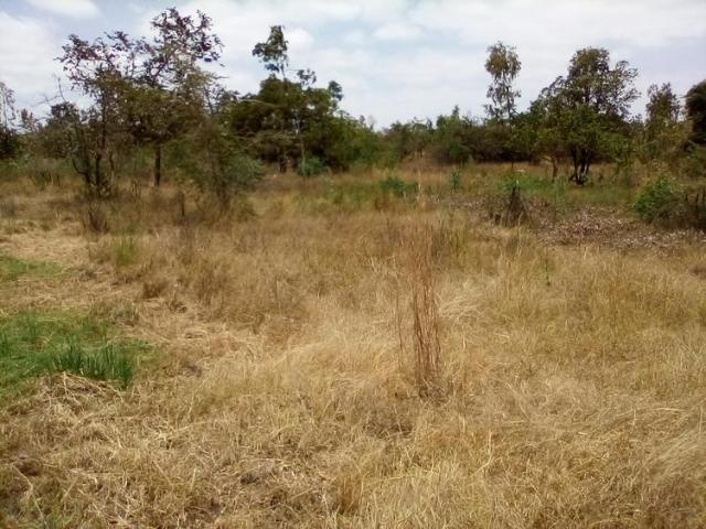Land for sale