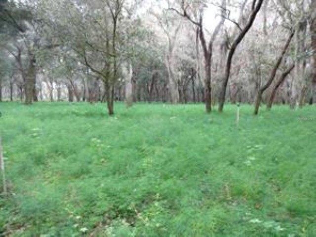Land for sale in Pierson, Florida
