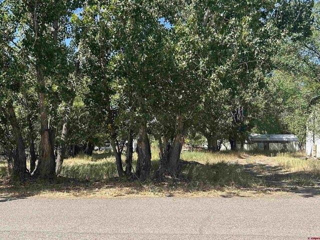 Land for sale in Montrose, Colorado