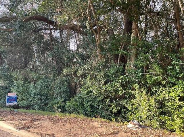 Land for sale in Theodore Heights, Thomasville