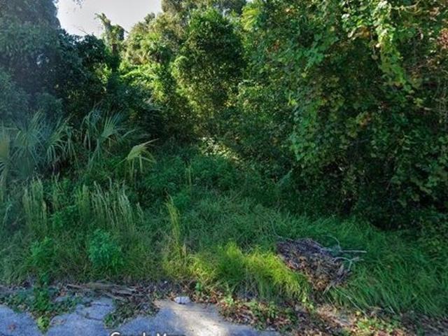 Land for sale in Palatka, Florida