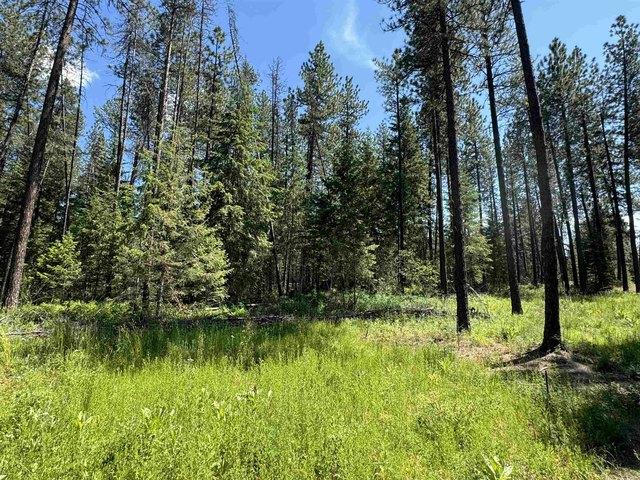 Land for sale in Ford, Washington