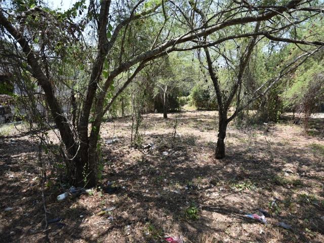 Land for sale in San Patricio, Texas