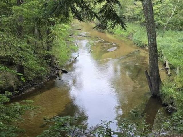 Land for sale in Scottville, Michigan
