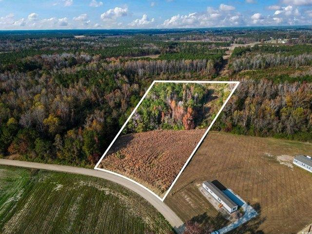 Land for sale in Nichols, South Carolina