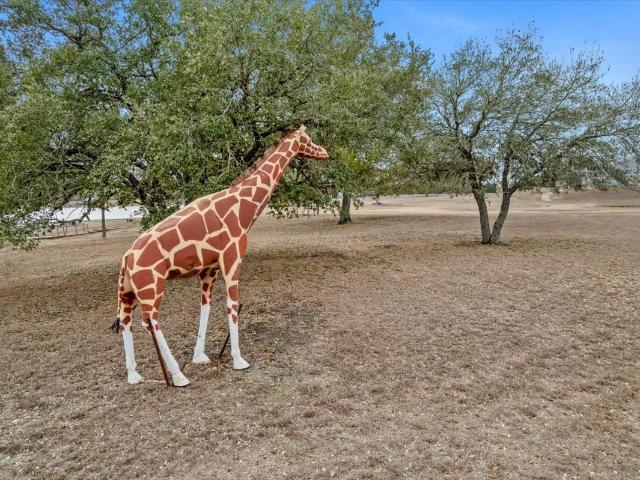 Farm for sale in La Grange, Texas