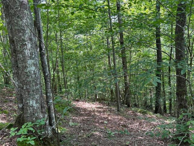 Land for sale in Tennessee