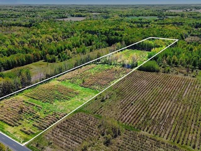 Land for sale in Bangor, Van Buren County