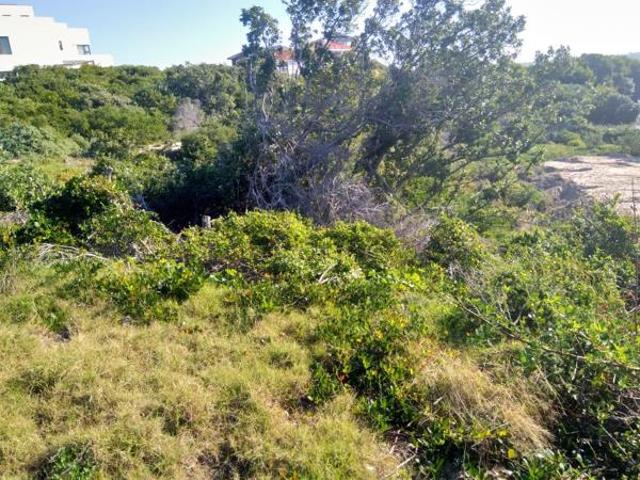 Land for sale in Cape St Francis, Eastern Cape