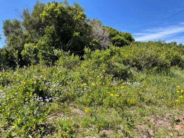Land for sale in Cape St Francis, Eastern Cape