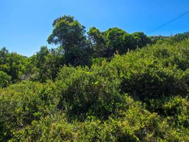 Land for sale in Cape St Francis, Eastern Cape