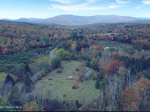 Land for sale in Ashland, New York