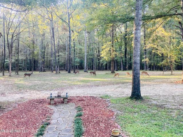 House for sale in Terry, Mississippi