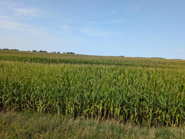 Land for sale in Chokio, Minnesota