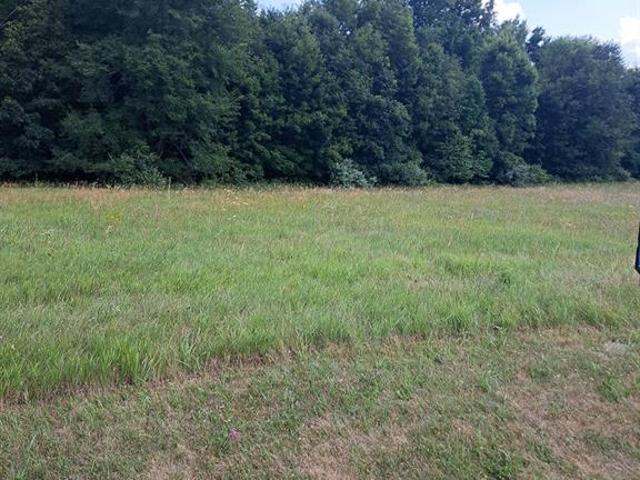 Land for sale in Michigan