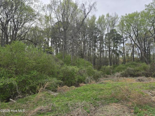Commercial for sale in Bailey, North Carolina
