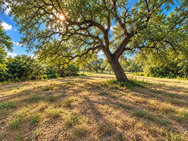Land for sale in La Grange, Texas