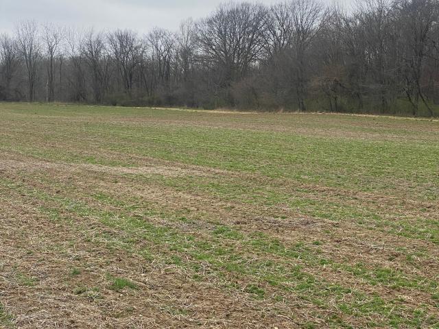 Land for sale in Indiana