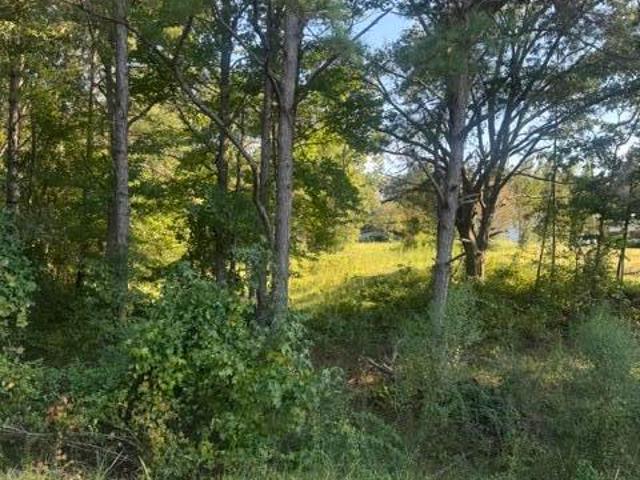 Land for sale in Mathiston, Mississippi