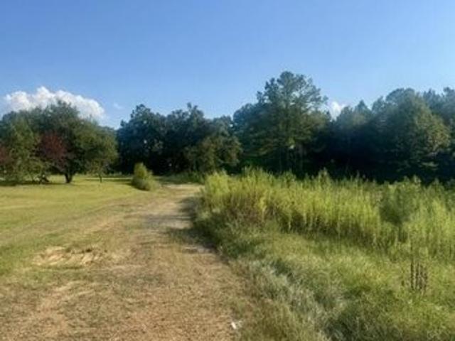 Land for sale in Mathiston, Mississippi