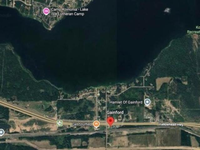 Land for sale in Gainford, Alberta