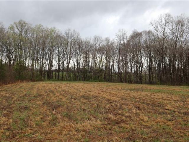 Land for sale in Davidson, North Carolina
