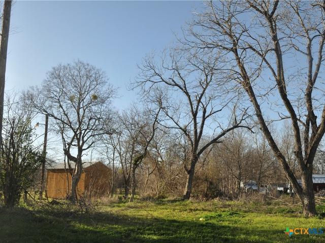 Land for sale in Mart, Texas