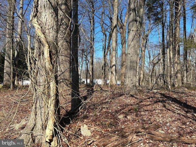 Land for sale in Lothian, Maryland