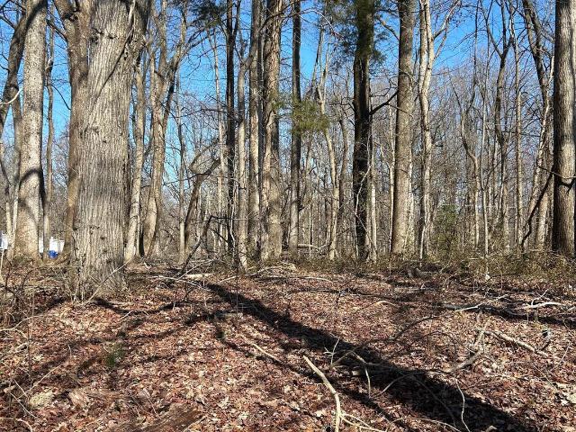 Land for sale in Lothian, Maryland