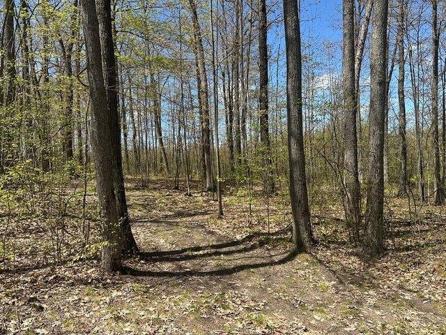Land for sale in Clare, Michigan