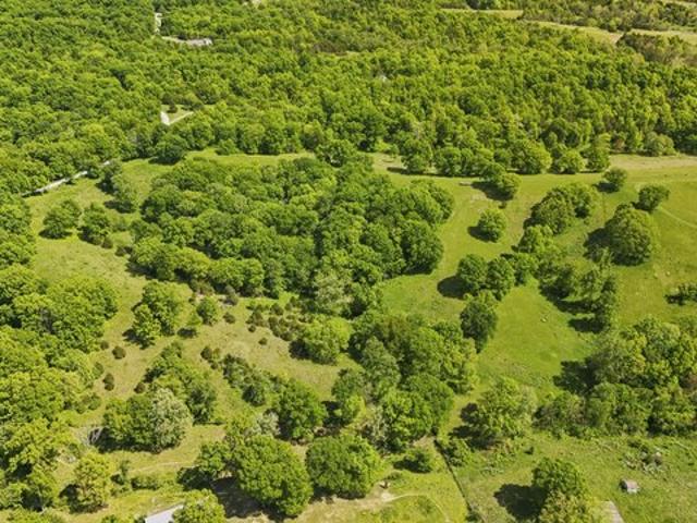 Farm for sale in Sadieville, Kentucky