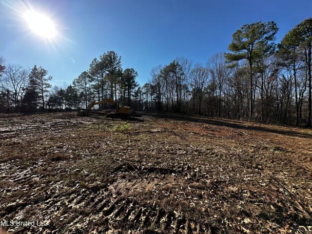 Land for sale in Olive Branch, DeSoto County