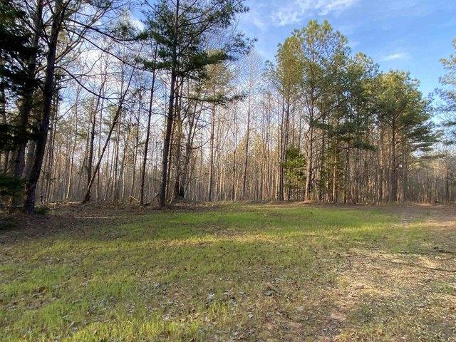 Land for sale in Double Springs, Alabama