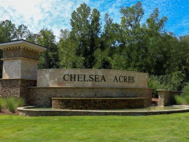 House for sale in Chelsea, Alabama