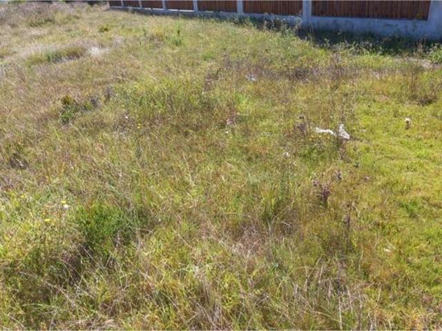 Land for sale in Cape St Francis, Eastern Cape