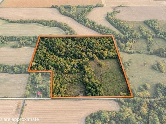 Land for sale in Hillview, Greene County
