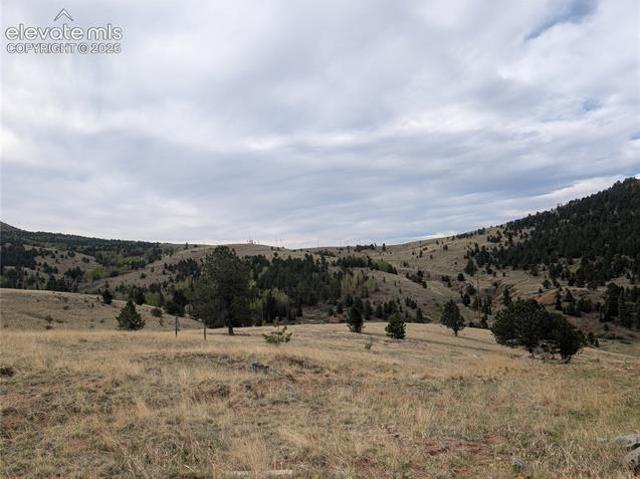 Land for sale in Teller, Colorado