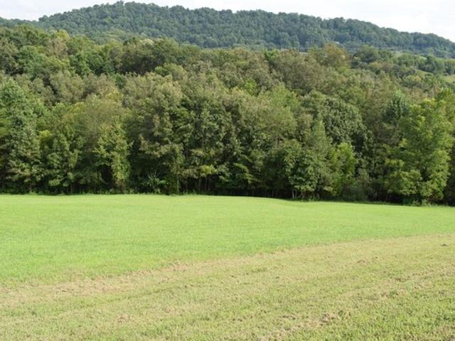 Land for sale in Tennessee