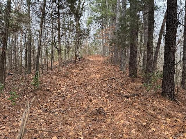 Land for sale in Tennessee