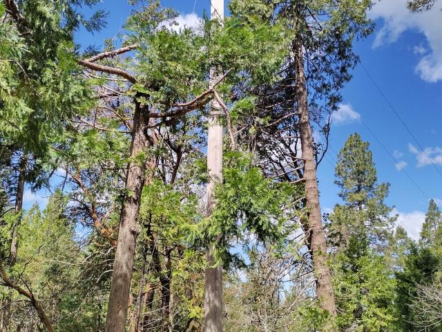 Land for sale in Georgetown, California