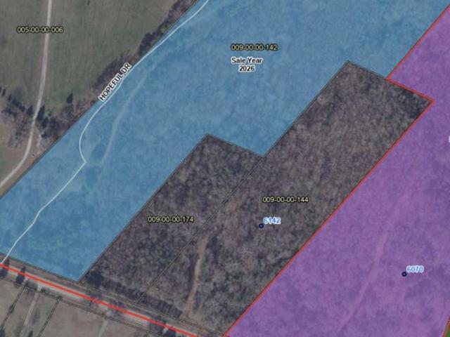Land for sale in Donalds, South Carolina