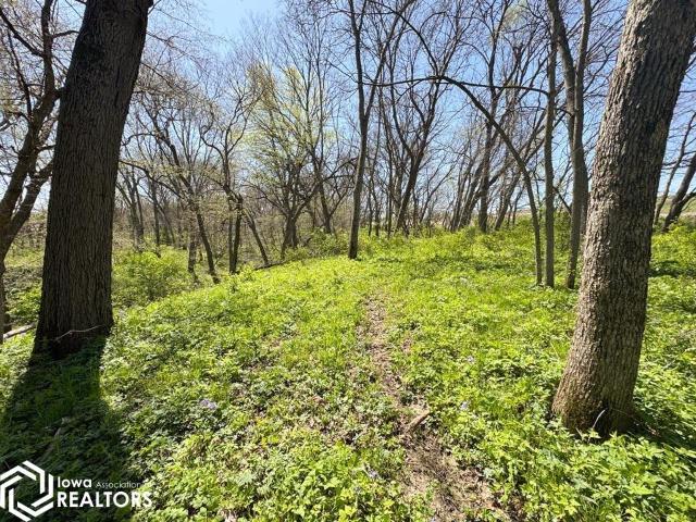 Farm for sale in Malvern, Iowa