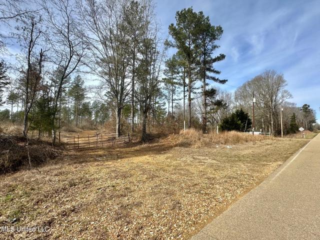 Land for sale in Mississippi