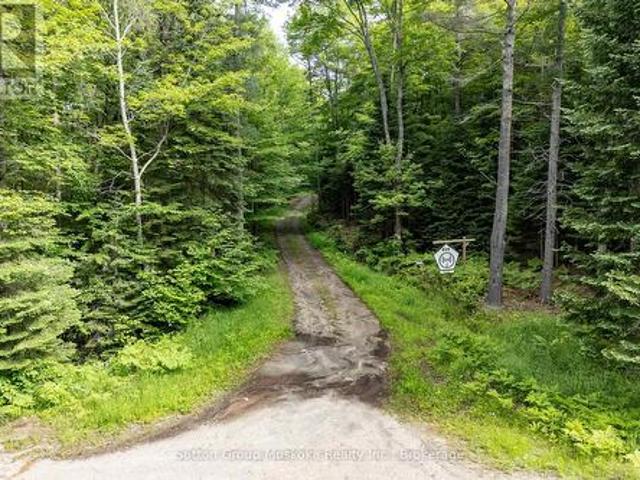 Land for sale in Muskoka, Ontario