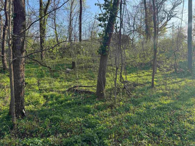 Land for sale in Bedford, Indiana