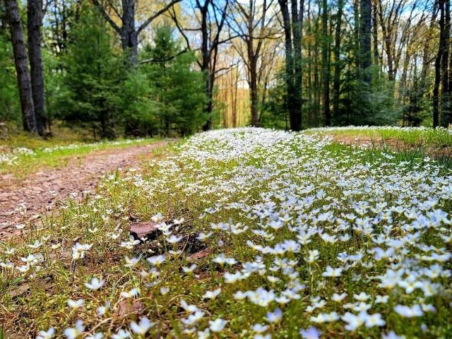Property for sale in Carbon, Pennsylvania