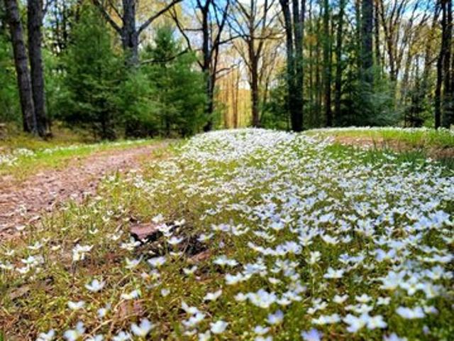 Land for sale in Carbon, Pennsylvania